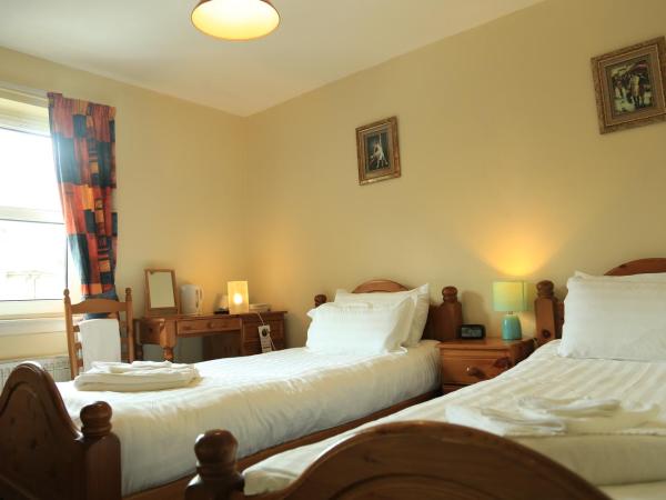 Twin Lions Hotel : photo 1 de la chambre chambre lits jumeaux