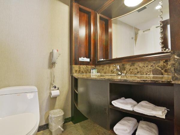 Woodbine Hotel & Suites : photo 3 de la chambre chambre lit king-size