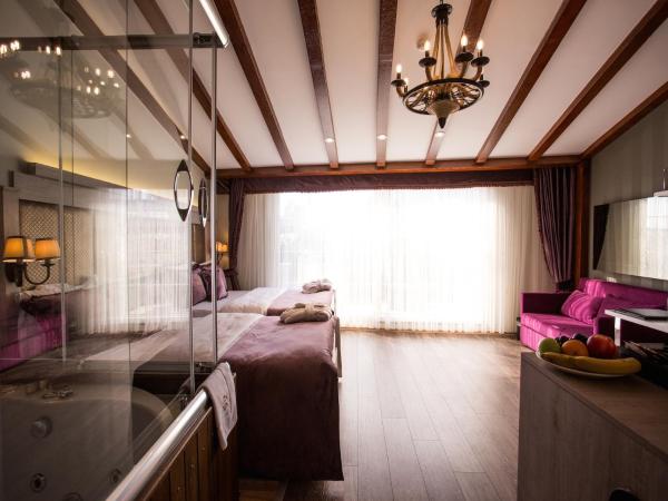 Bonne Sante Hotel : photo 4 de la chambre suite exécutive avec terrasse et jacuzzi