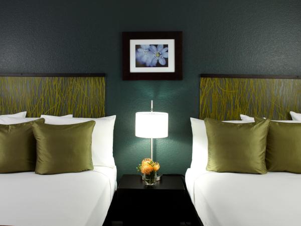 Aqua Skyline at Island Colony : photo 2 de la chambre suite 1 chambre