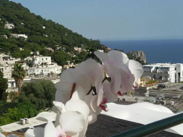 Casa Costanza : photo 7 de la chambre chambre double ou lits jumeaux supérieure - vue sur mer