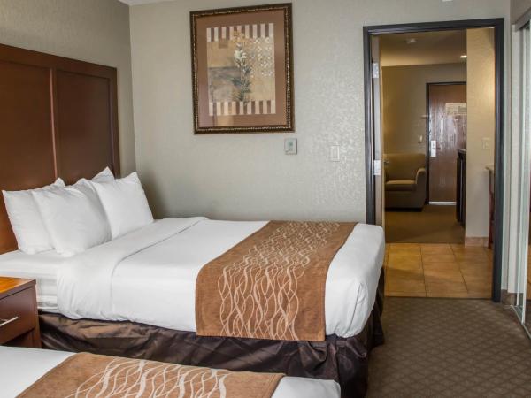 Comfort Suites Near Seaworld : photo 6 de la chambre suite 2 lits queen-size - non-fumeurs
