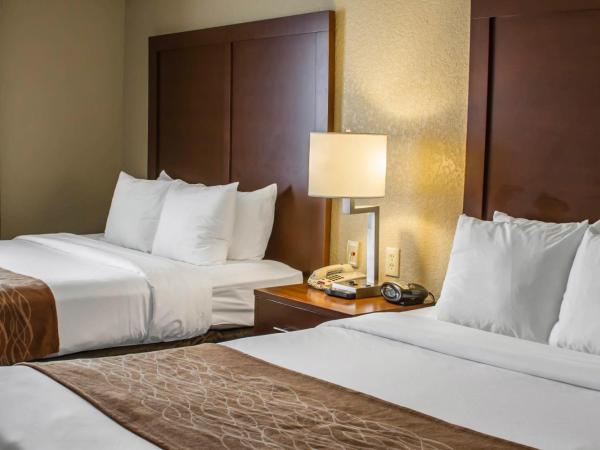 Comfort Suites Near Seaworld : photo 5 de la chambre suite 2 lits queen-size - non-fumeurs