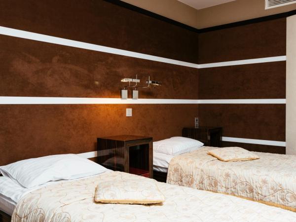 Niebieski Art Hotel & Spa : photo 4 de la chambre chambre lits jumeaux