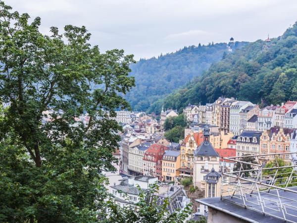 Spa Hotel Panorama : photo 7 de la chambre chambre lits jumeaux - vue sur ville