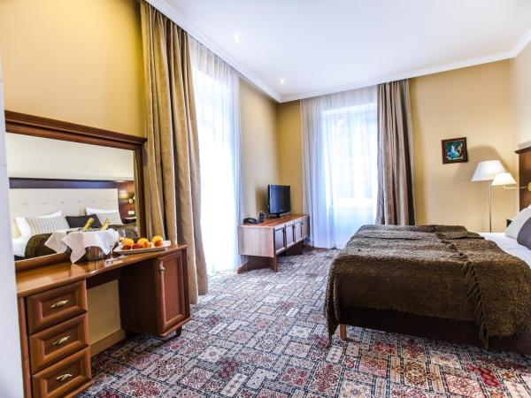 Spa Hotel Panorama : photo 3 de la chambre chambre lits jumeaux - vue sur ville