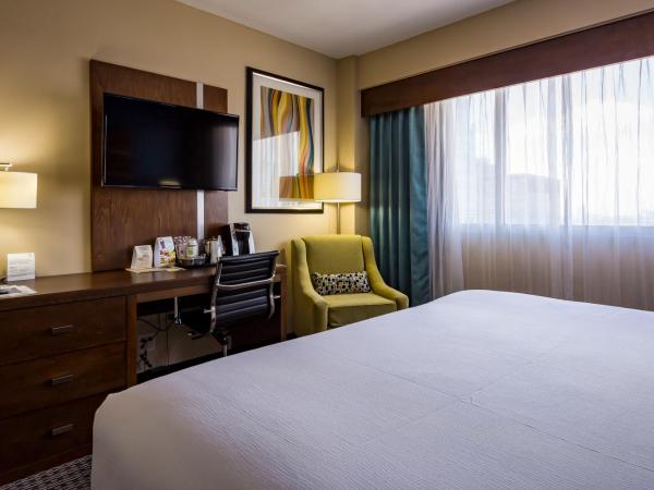 Holiday Inn Houston Downtown, an IHG Hotel : photo 3 de la chambre chambre lit king-size standard