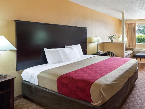 Econo Lodge Inn & Suites Downtown Northeast near Fort Sam Houston : photo 1 de la chambre suite lit king-size – non-fumeurs