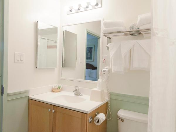 Inns of Virginia Arlington : photo 2 de la chambre chambre lit queen-size - non-fumeurs