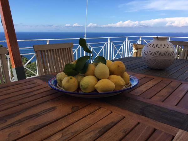 Agapanto Luxury Accommodation : photo 8 de la chambre appartement de luxe 3 chambres - vue sur mer