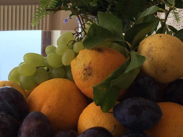 Agapanto Luxury Accommodation : photo 7 de la chambre appartement de luxe 3 chambres - vue sur mer