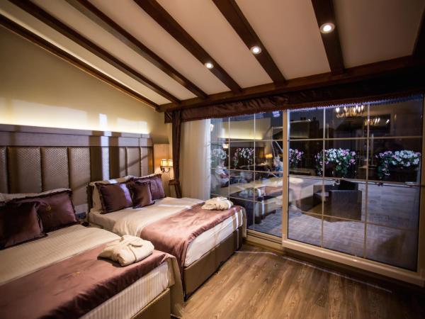 Bonne Sante Hotel : photo 10 de la chambre suite exécutive avec terrasse et jacuzzi