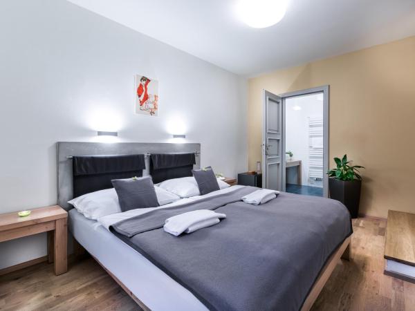 Pension Athanor : photo 2 de la chambre chambre double avec douche