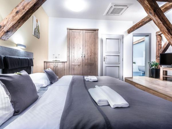 Pension Athanor : photo 2 de la chambre chambre double avec baignoire