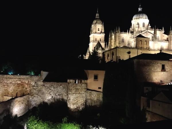 Hotel San Polo : photo 6 de la chambre suite