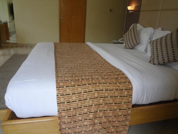 Ascot Hotel : photo 8 de la chambre chambre double deluxe