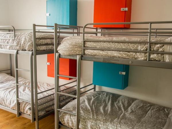 Wicked Hostels - Calgary : photo 1 de la chambre lit dans dortoir mixte de 6 lits