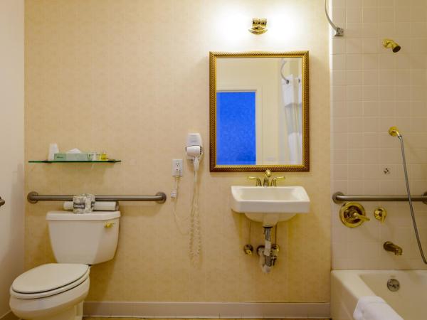 SW Hotel : photo 7 de la chambre chambre lit queen-size