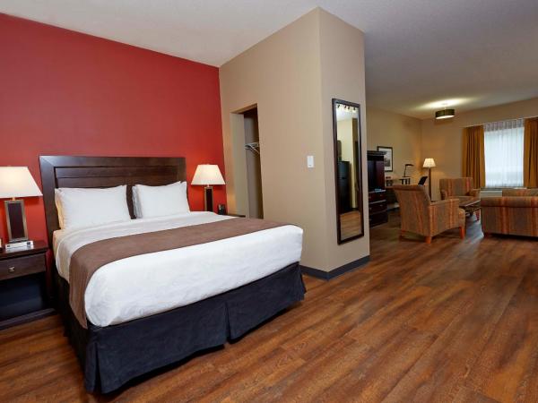 Quality Inn & Suites : photo 2 de la chambre efficiency suite queen room - pet friendly