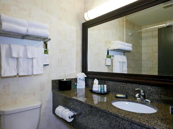 Quality Inn & Suites : photo 5 de la chambre standard queen room, 2nd floor - not pet friendly