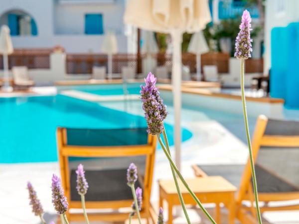 Nissaki Beach Hotel : photo 6 de la chambre chambre double supérieure