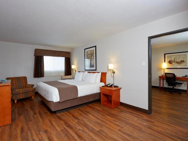 Quality Inn & Suites : photo 5 de la chambre suite lit king-size exécutive - animaux domestiques acceptés