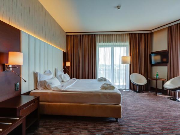 Copernicus Toruń Hotel : photo 7 de la chambre chambre deluxe double ou lits jumeaux