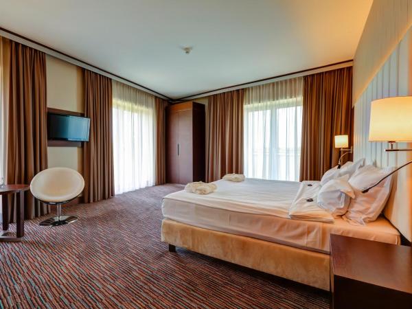 Copernicus Toruń Hotel : photo 9 de la chambre chambre deluxe double ou lits jumeaux