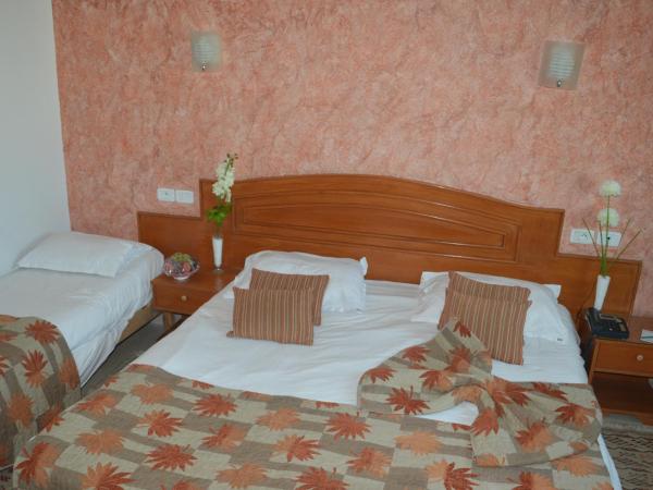 Hotel la princesse : photo 6 de la chambre chambre triple