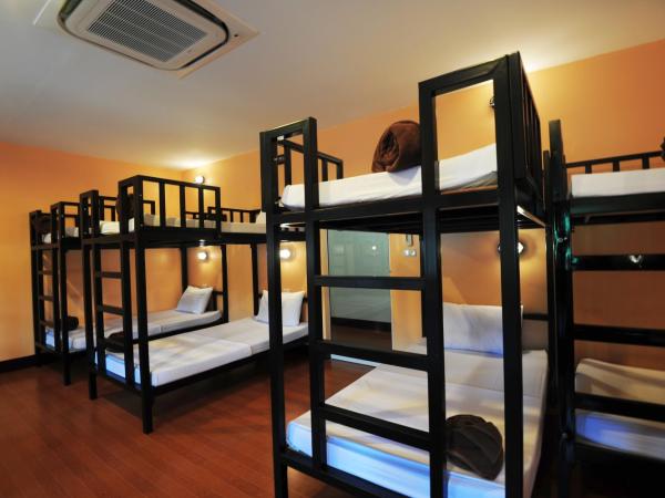 Twin Palms Hostel Phi Phi : photo 4 de la chambre lit dans dortoir pour hommes