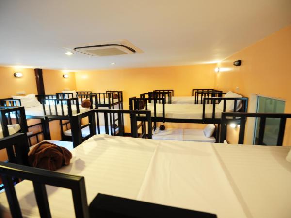 Twin Palms Hostel Phi Phi : photo 7 de la chambre lit dans dortoir pour hommes