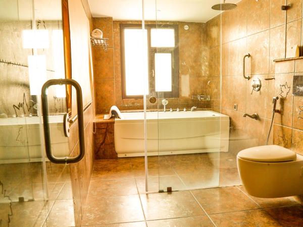 WelcomHeritage Traditional Haveli : photo 5 de la chambre suite