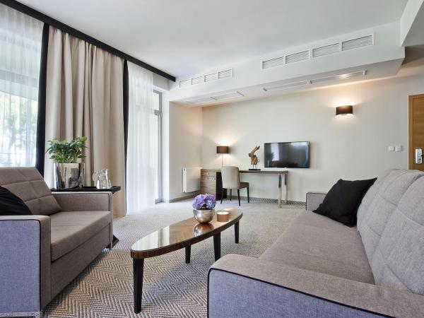 Diune Hotel by Zdrojowa : photo 1 de la chambre appartement 1 chambre avec balcon