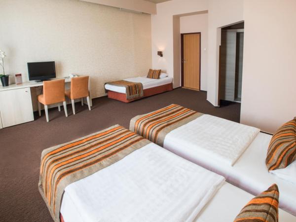 Star City Hotel : photo 2 de la chambre chambre triple