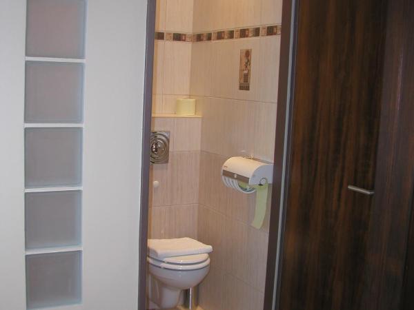 Roxane Panzio : photo 8 de la chambre chambre double - mansardée
