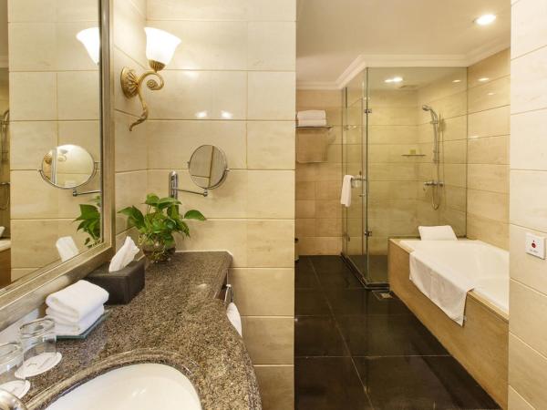 Grand Royal Hotel : photo 6 de la chambre suite affaires