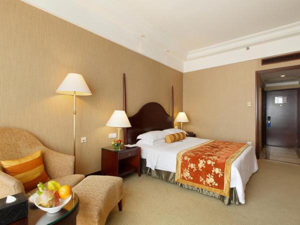 Grand Royal Hotel : photo 1 de la chambre chambre affaires lit queen-size