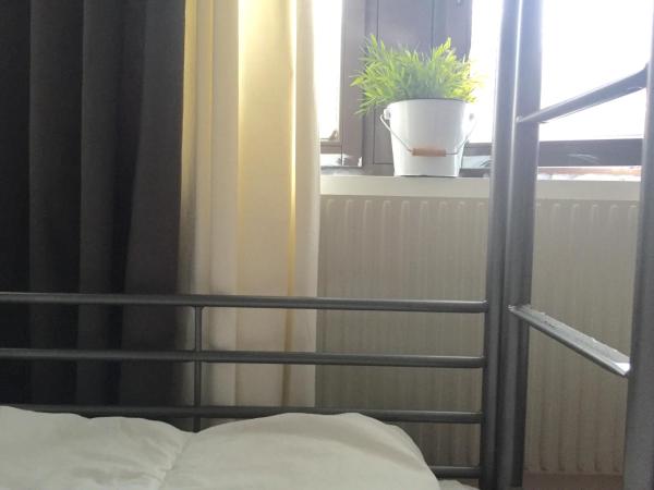 Linné Hostel : photo 3 de la chambre chambre quadruple avec salle de bains commune