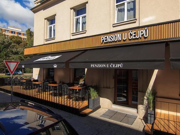 Penzion U Čejpu : photo 2 de la chambre chambre simple
