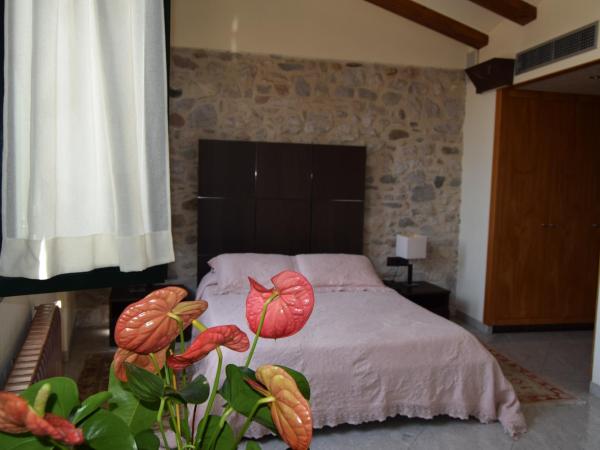 Hotel Històric : photo 1 de la chambre suite