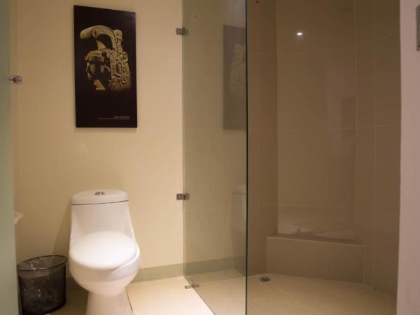 Hotel Zar Merida : photo 8 de la chambre chambre double avec 2 lits doubles