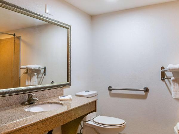 Motel 6-New Orleans, LA - Near Downtown : photo 8 de la chambre chambre lit king-size avec douche à l'italienne - accessible aux personnes à mobilité réduite - non-fumeurs