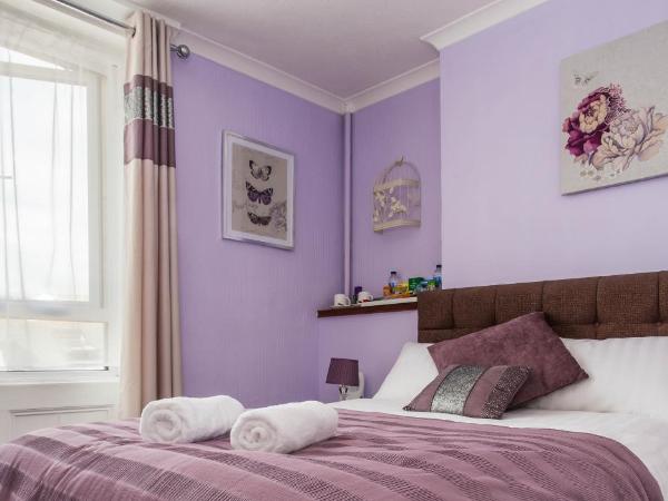 Brighton Surf Guest House : photo 4 de la chambre chambre double - lavande et argent