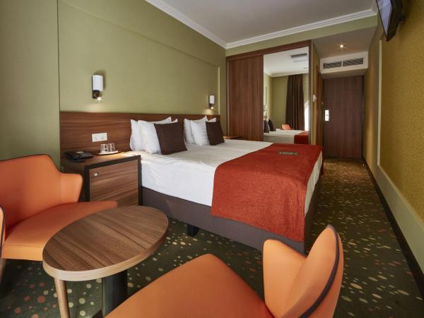 Budget Hotel Victoria : photo 2 de la chambre chambre double - vue sur rue ou cour