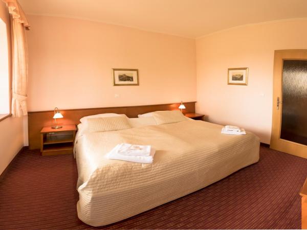 Hotel Vítkova Hora - Veitsberg : photo 4 de la chambre appartement