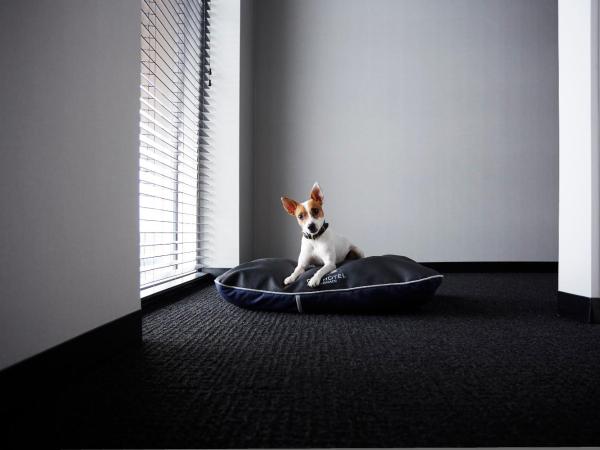 Alt Hotel Winnipeg : photo 4 de la chambre chambre lit queen-size