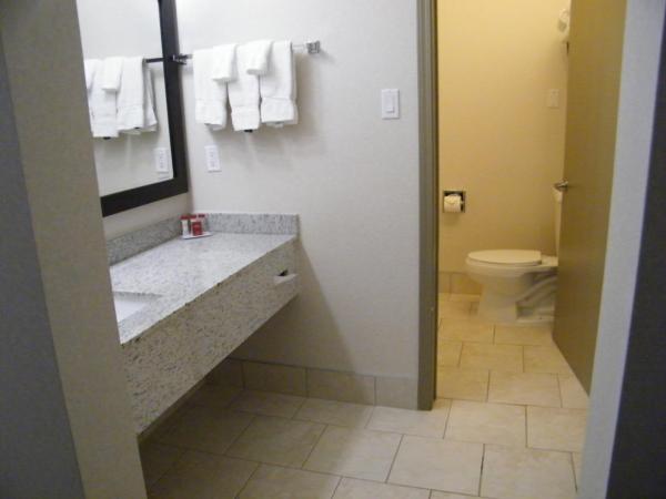 Ramada by Wyndham Edmonton South : photo 6 de la chambre chambre 2 lits queen-size - animaux domestiques admis