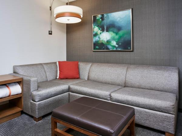 Hyatt Place Chicago River North : photo 5 de la chambre chambre lit king-size avec canapé-lit