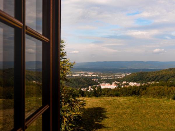 Hotel Vítkova Hora - Veitsberg : photo 7 de la chambre appartement