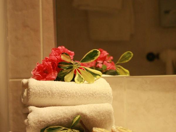 Hotel les Flocons : photo 7 de la chambre chambre double ou lits jumeaux supérieure